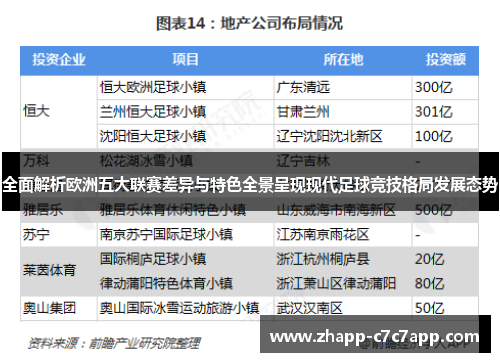 全面解析欧洲五大联赛差异与特色全景呈现现代足球竞技格局发展态势