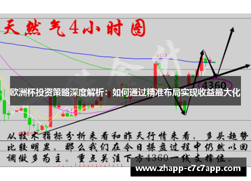 欧洲杯投资策略深度解析：如何通过精准布局实现收益最大化